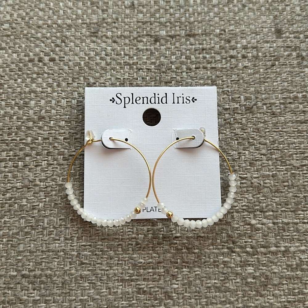 Delicate Crystal Hoops